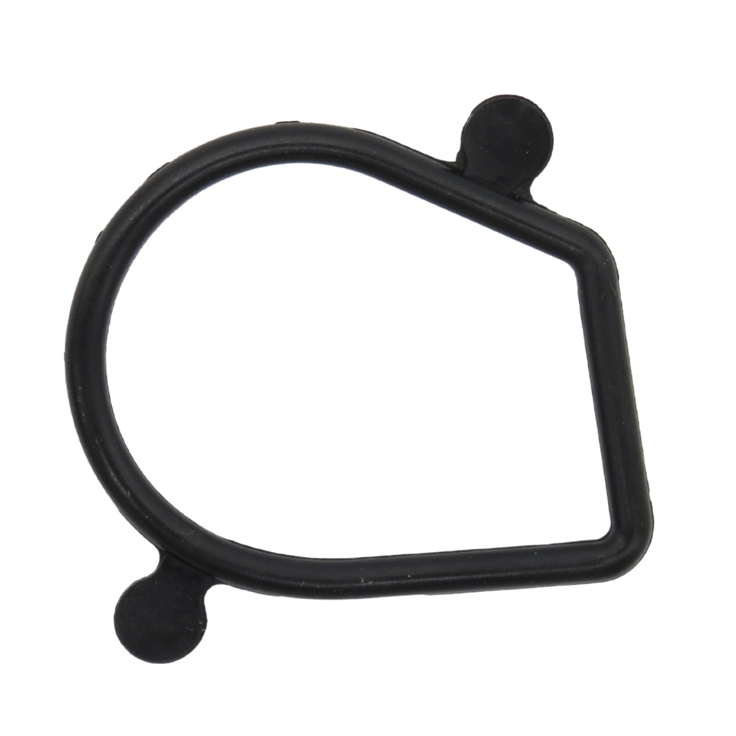 Anel Vedação Corpo Injeção POP 110i 16-21/BIZ